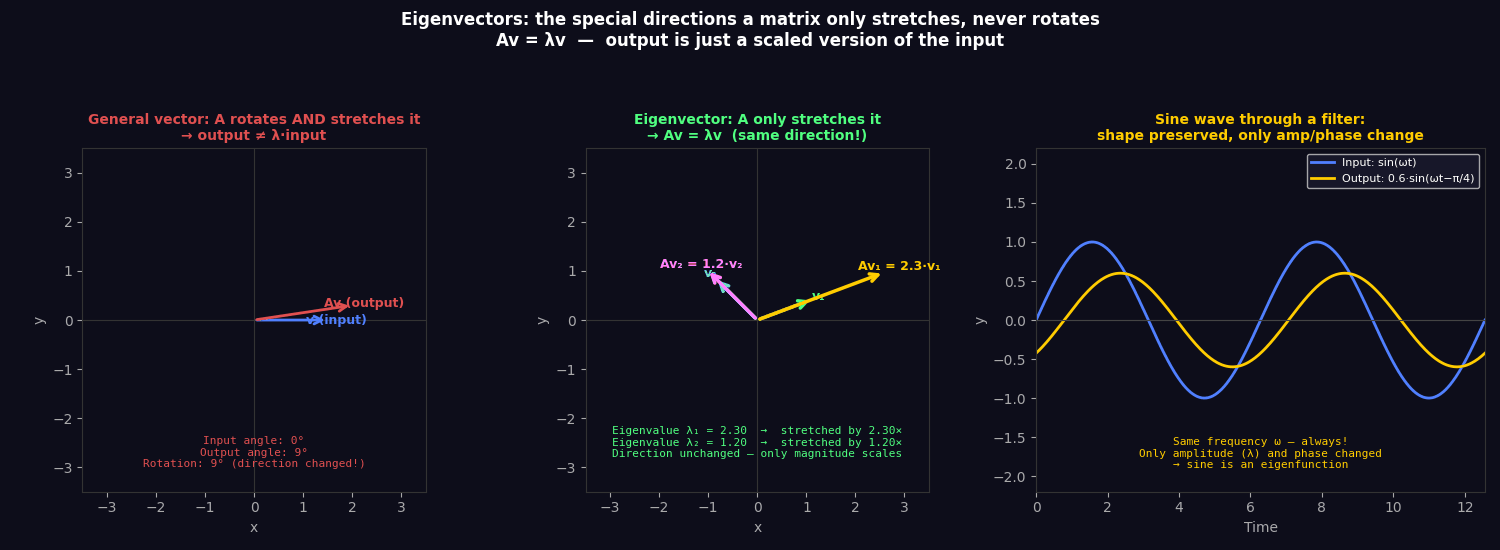 Eigenvectors and eigenfunctions