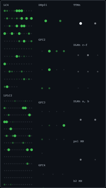 Close-up: TTMn caught mid-spike (white), DNp01 and GFC2/3 active (green), wing/flight motoneurons idle (grey)