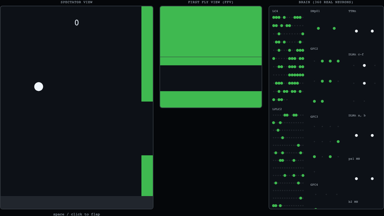 Live gameplay with the brain panel lighting up in real time