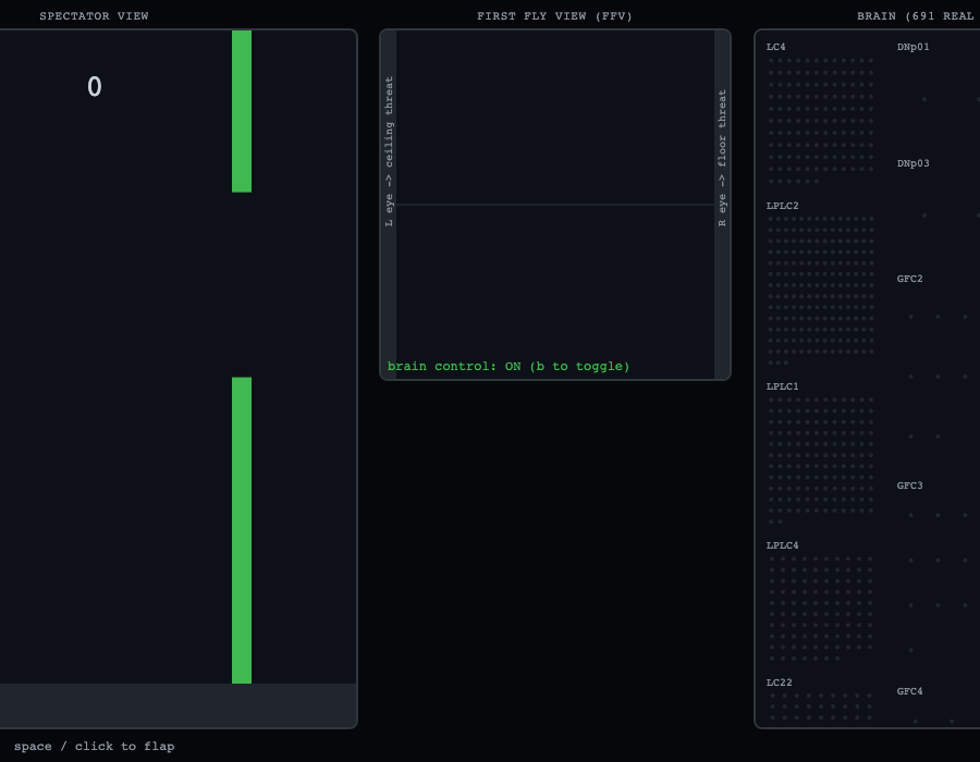 Redesigned FFV with left/right eye indicator strips alongside the original wall geometry